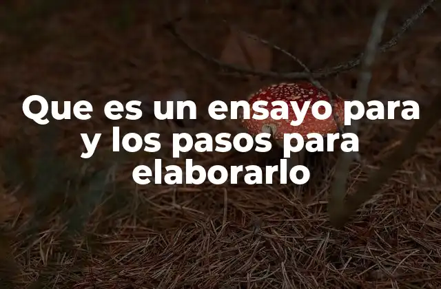 Que es un Ensayo para y los Pasos para Elaborarlo