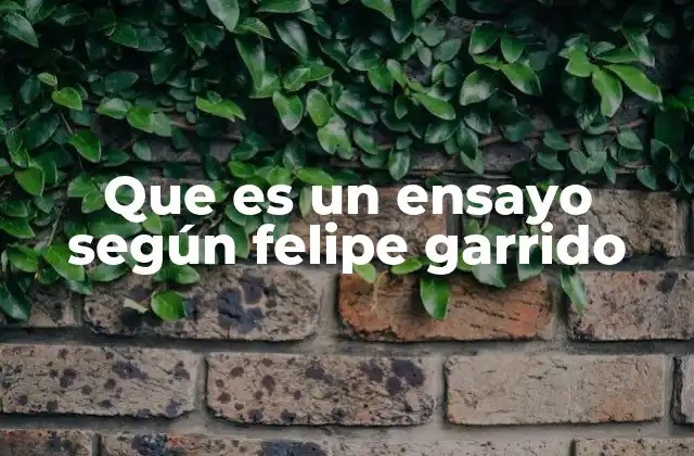 Que es un Ensayo según Felipe Garrido