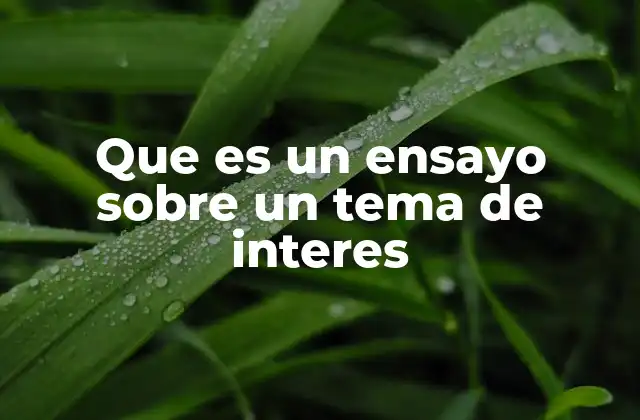 Que es un Ensayo sobre un Tema de Interes