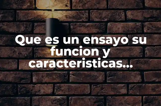 Que es un Ensayo Su Funcion y Caracteristicas Estructura 2 El propósito detrás de la escritura académica y reflexiva