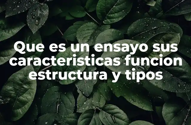 Que es un Ensayo Sus Caracteristicas Funcion Estructura y Tipos