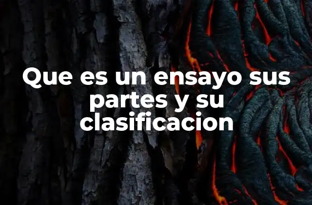 Que es un Ensayo Sus Partes y Su Clasificacion