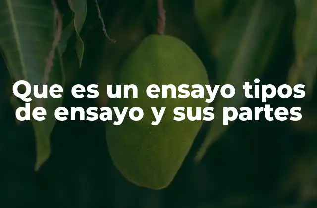 Que es un Ensayo Tipos de Ensayo y Sus Partes