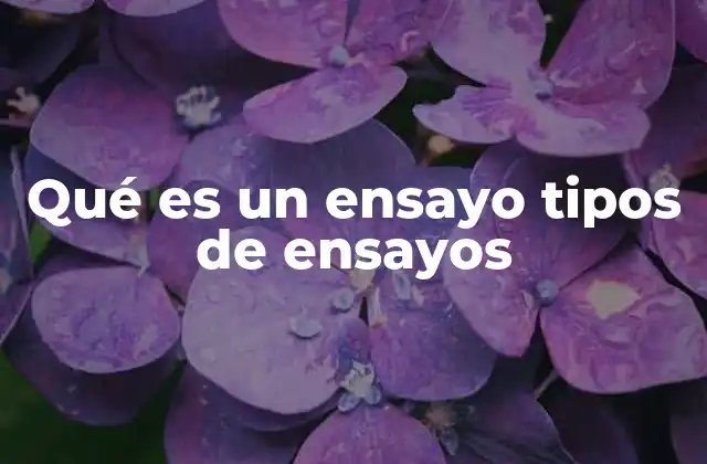 Qué es un Ensayo Tipos de Ensayos