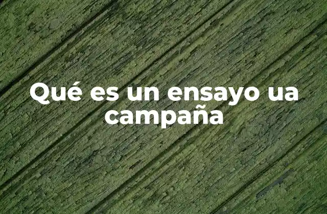 Qué es un Ensayo Ua Campaña