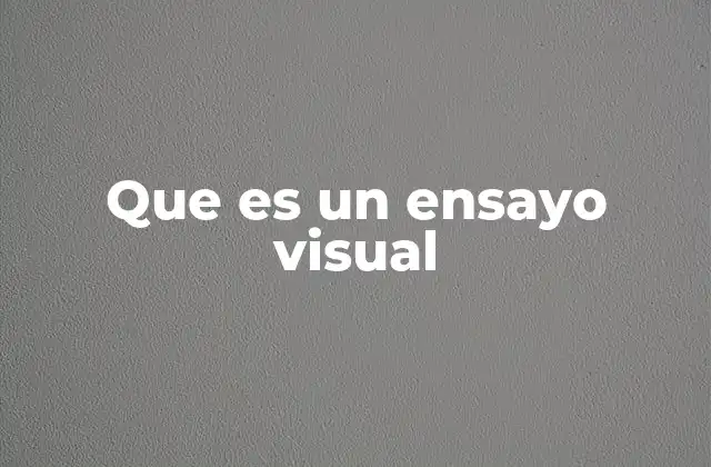 Que es un Ensayo Visual