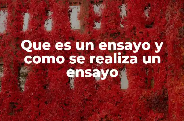 Que es un Ensayo y como Se Realiza un Ensayo