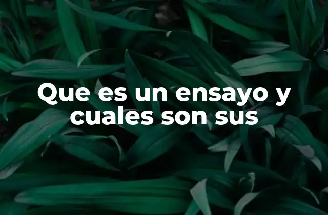 Que es un Ensayo y Cuales Son Sus