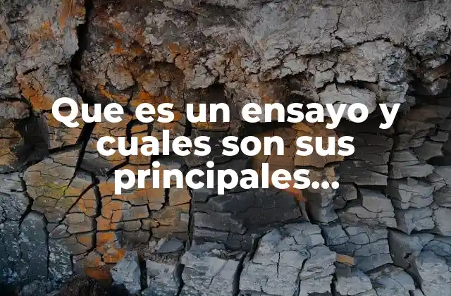 Que es un Ensayo y Cuales Son Sus Principales Caracteristicas