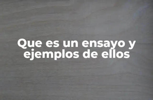 Que es un Ensayo y Ejemplos de Ellos 2 La importancia de la argumentación en el ensayo