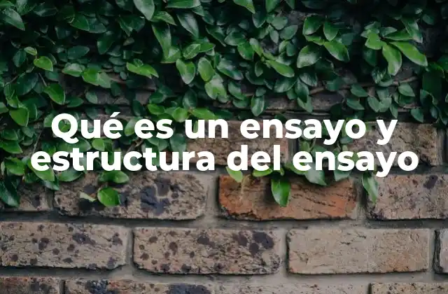 Qué es un Ensayo y Estructura Del Ensayo