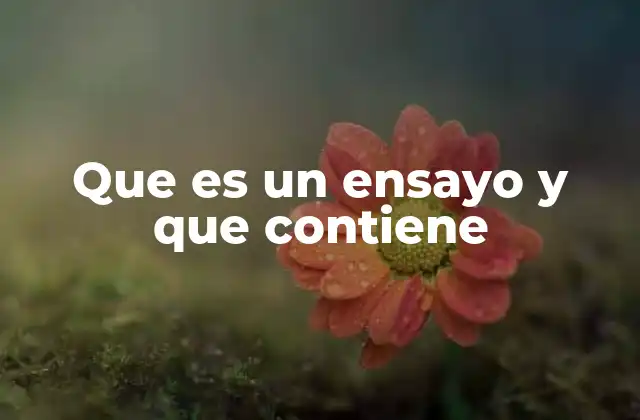 Que es un Ensayo y que Contiene