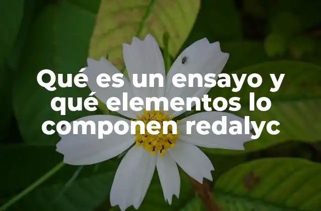 La estructura del ensayo como vehículo de comunicación intelectual