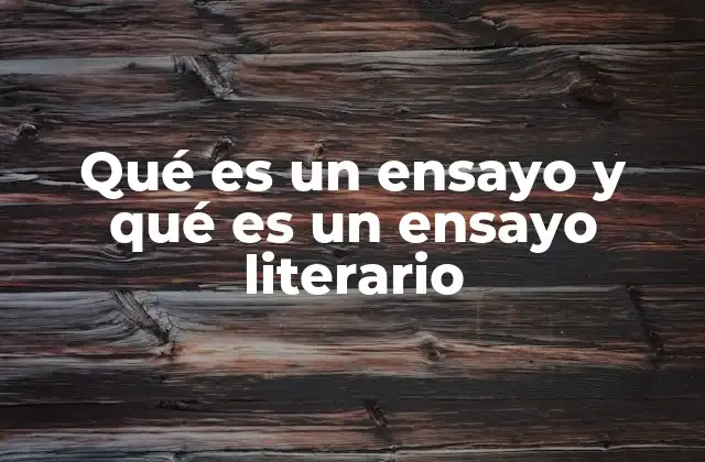 Qué es un Ensayo y Qué es un Ensayo Literario