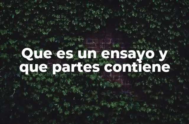 Que es un Ensayo y que Partes Contiene