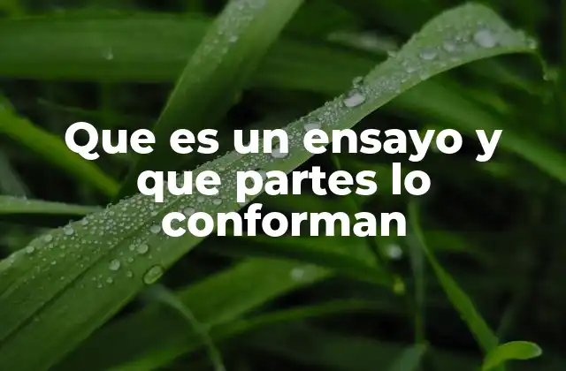 Que es un Ensayo y que Partes Lo Conforman
