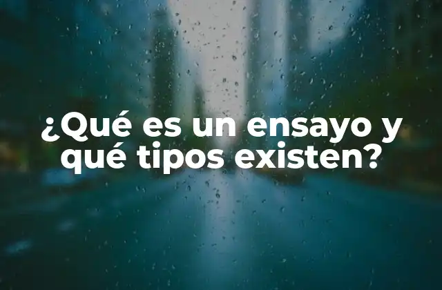 ¿qué es un Ensayo y Qué Tipos Existen?