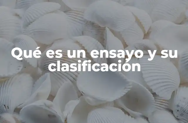 Qué es un Ensayo y Su Clasificación
