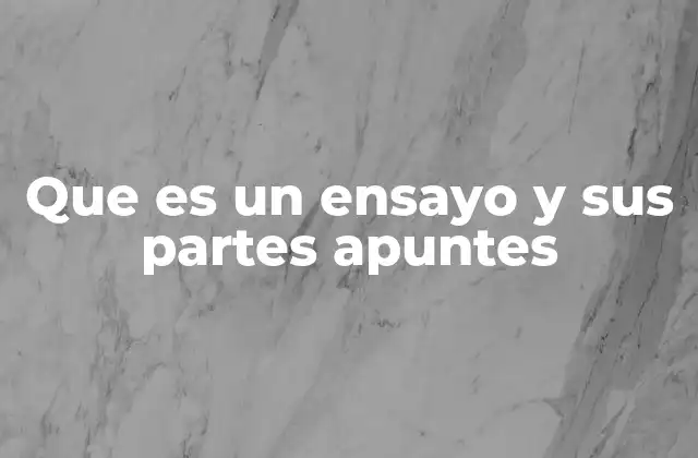 Que es un Ensayo y Sus Partes Apuntes