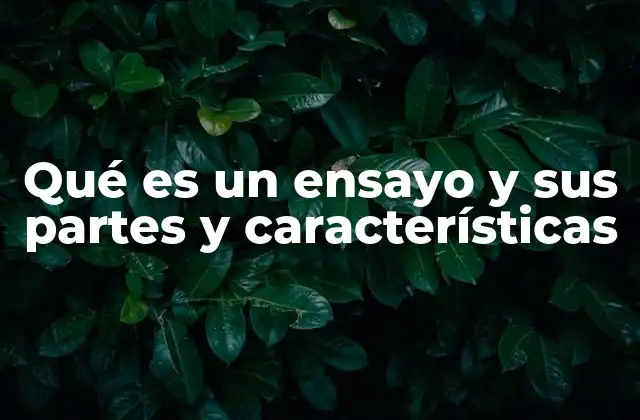 Qué es un Ensayo y Sus Partes y Características