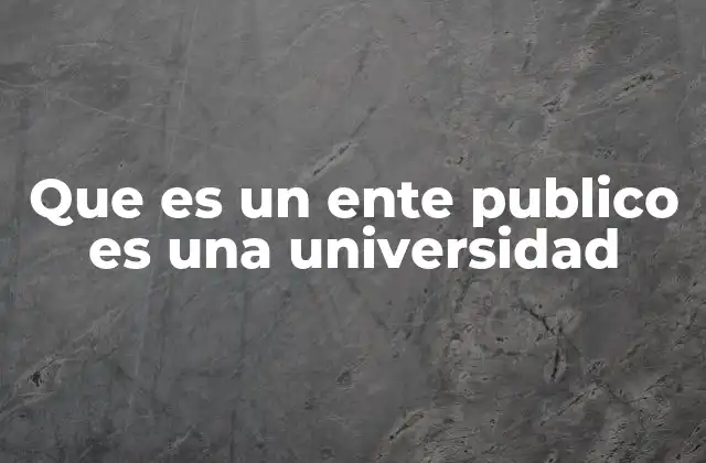Que es un Ente Publico es una Universidad
