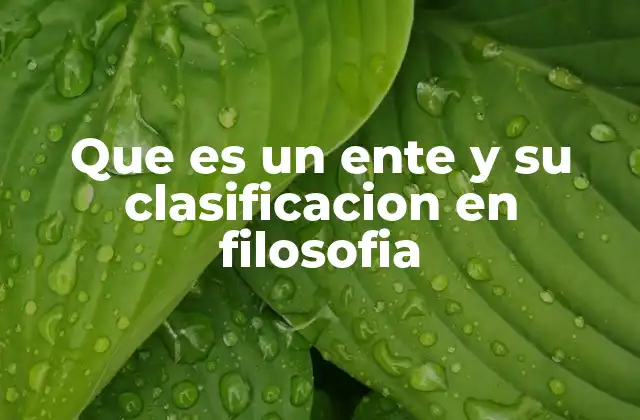 Que es un Ente y Su Clasificacion en Filosofia