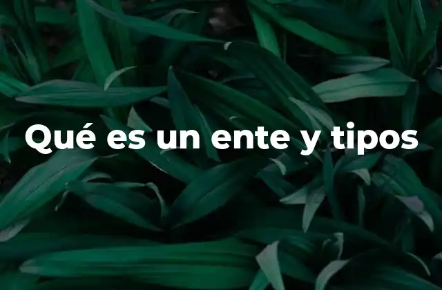Qué es un Ente y Tipos