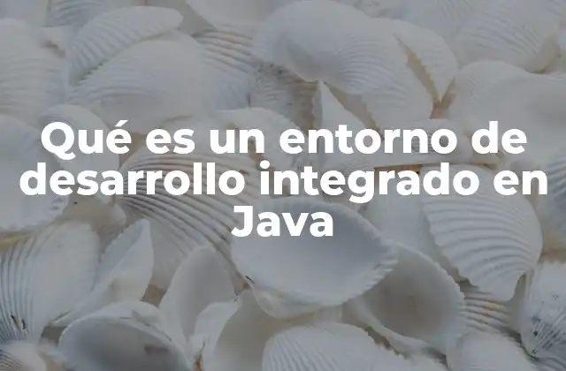 Qué es un Entorno de Desarrollo Integrado en Java