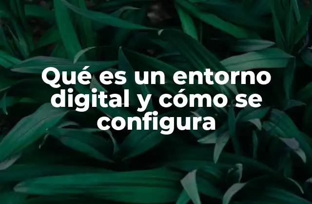 Qué es un Entorno Digital y Cómo Se Configura