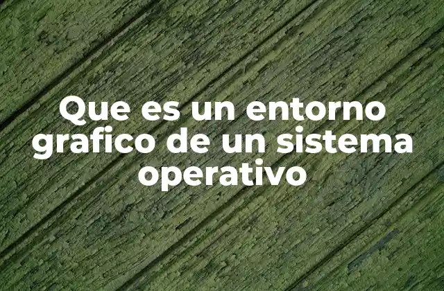 Que es un Entorno Grafico de un Sistema Operativo