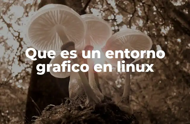 Que es un Entorno Grafico en Linux