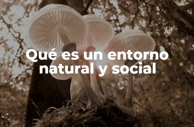 Qué es un Entorno Natural y Social