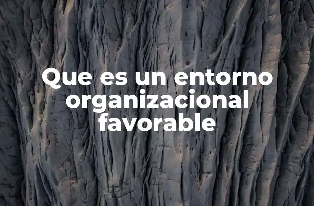 Que es un Entorno Organizacional Favorable