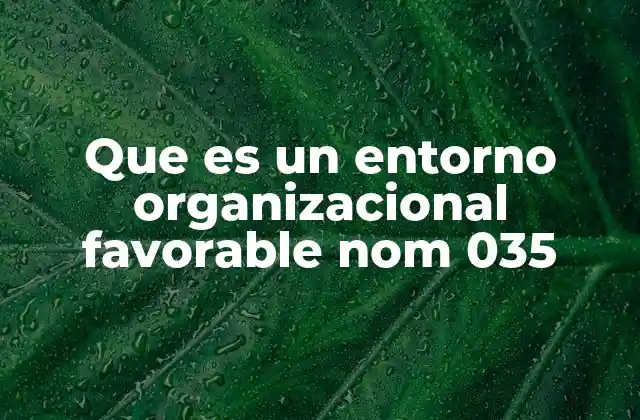 Que es un Entorno Organizacional Favorable Nom 035