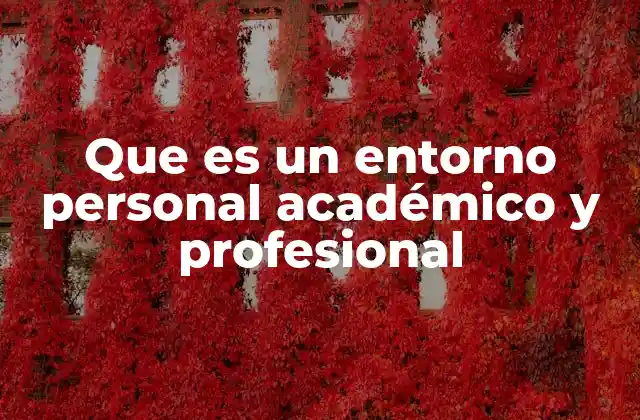 Que es un Entorno Personal Académico y Profesional