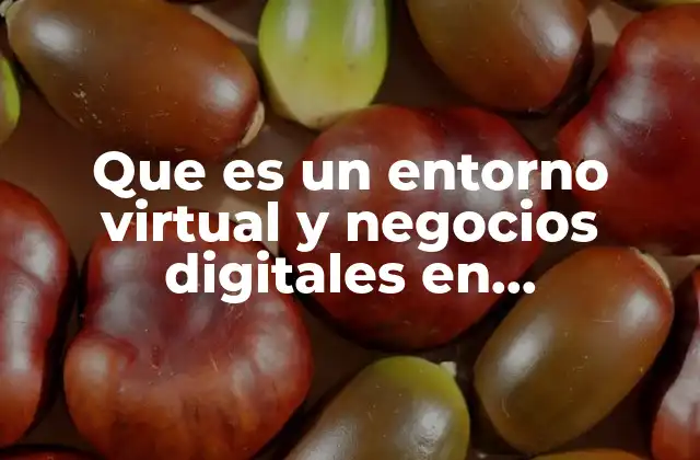 Que es un Entorno Virtual y Negocios Digitales en Informatica