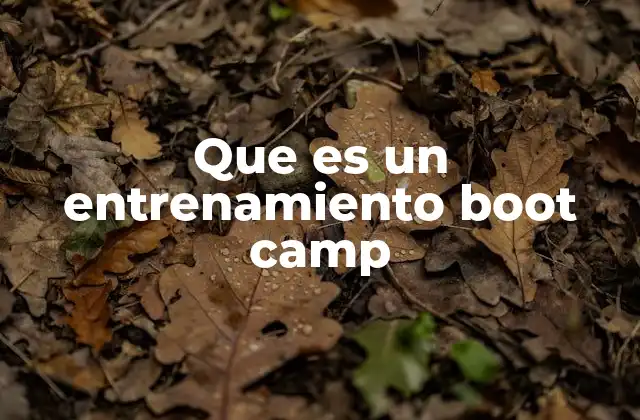 Que es un Entrenamiento Boot Camp