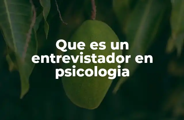 Que es un Entrevistador en Psicologia