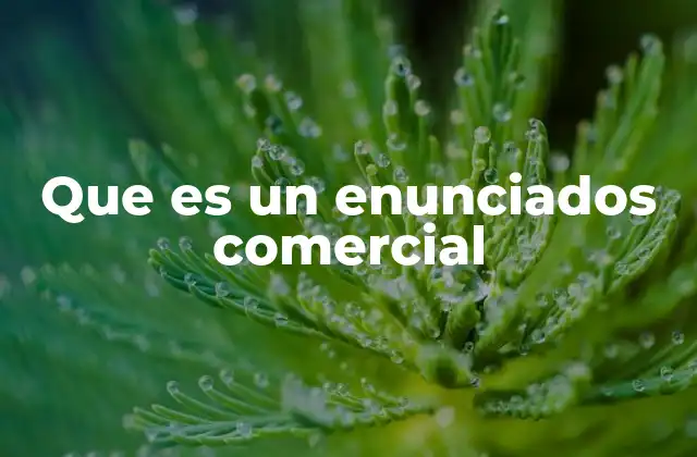 Que es un Enunciados Comercial