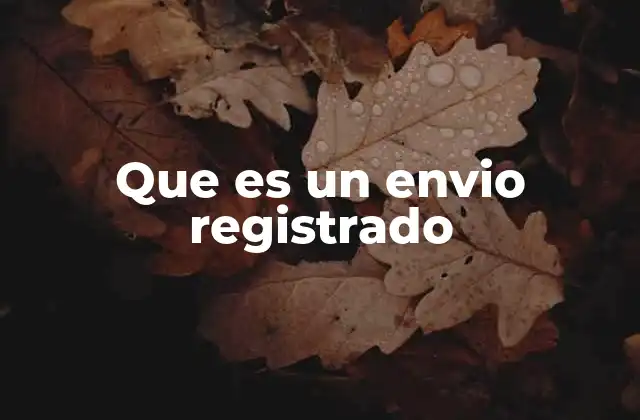 Que es un Envio Registrado 2 Cómo funciona el sistema de envíos registrados