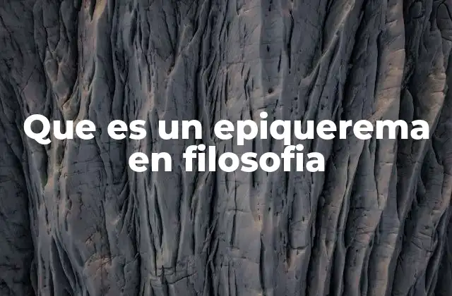 Que es un Epiquerema en Filosofia