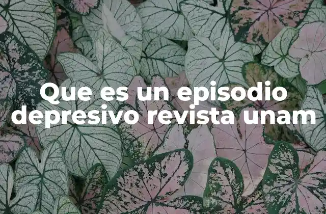 Que es un Episodio Depresivo Revista Unam