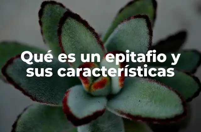 Qué es un Epitafio y Sus Características