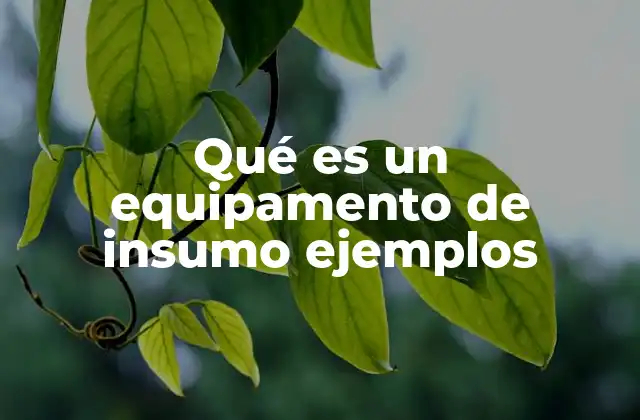 Qué es un Equipamento de Insumo Ejemplos
