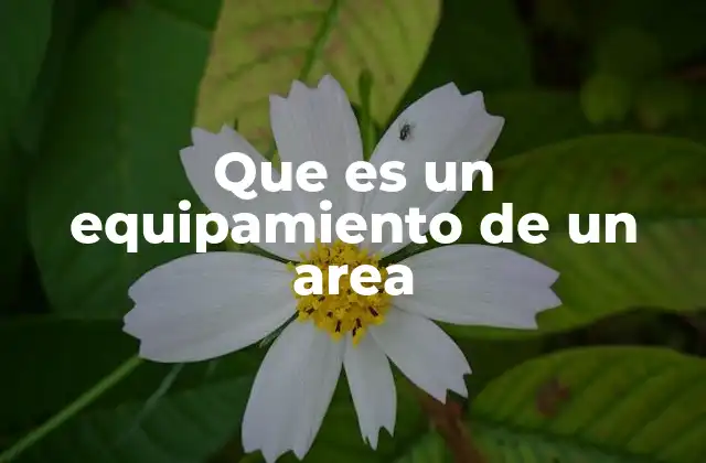 Que es un Equipamiento de un Area