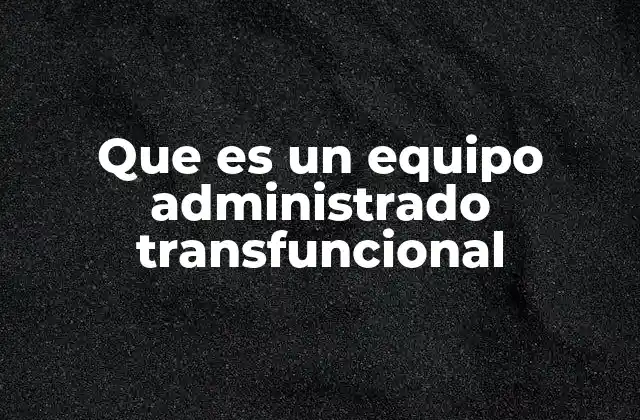 Que es un Equipo Administrado Transfuncional