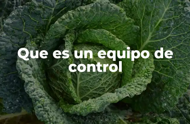 Que es un Equipo de Control