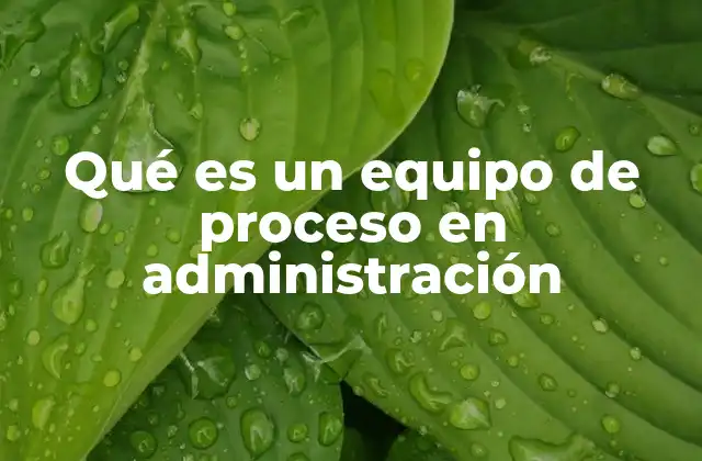 Qué es un Equipo de Proceso en Administración