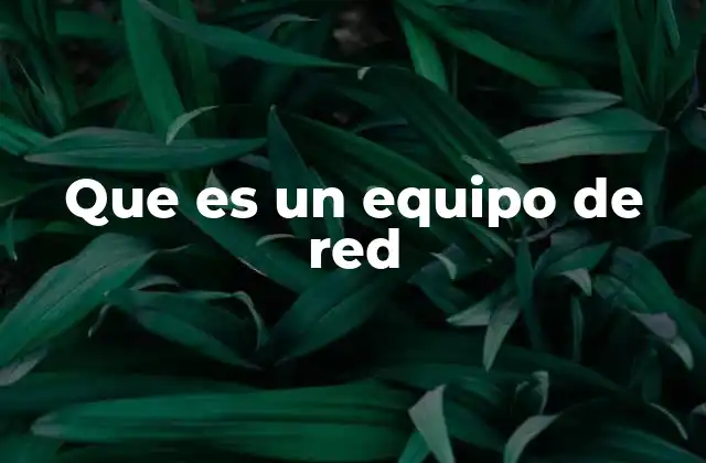 Que es un Equipo de Red