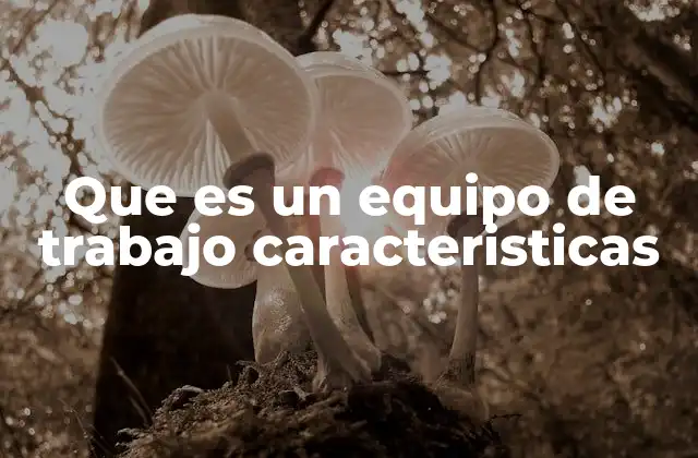 Elementos que definen la estructura de un equipo de trabajo